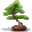 phormalitize