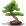 phormalitize